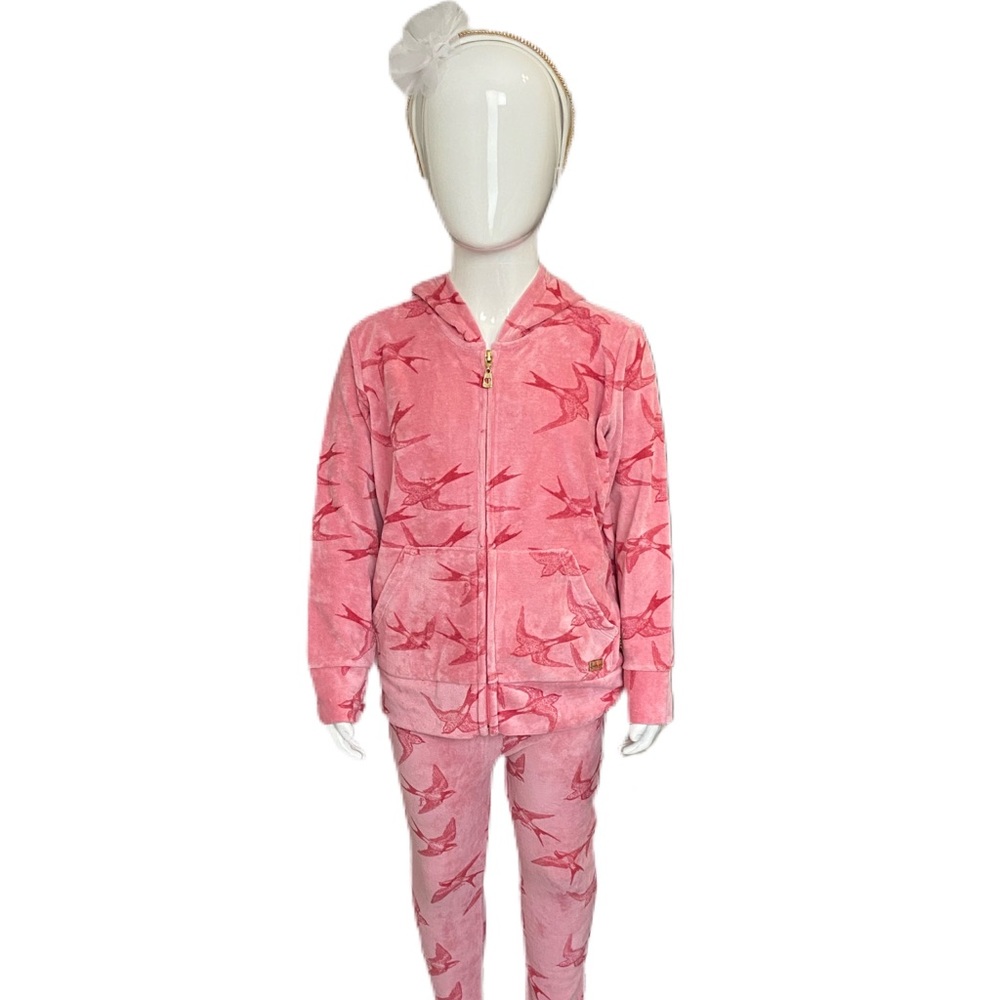 Quimby Plush Hoodie and Sweat Pants
